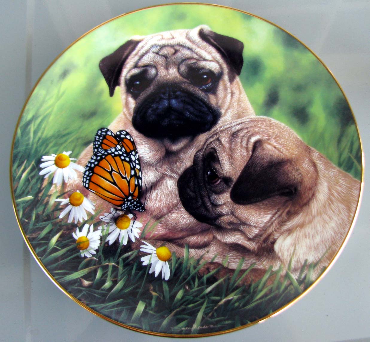 pug number plate pug eyed simon mendez the danbury mint pugs collector s plate series ebay pug number plate pug eyed simon mendez the danbury mint pugs collector s plate series ebay