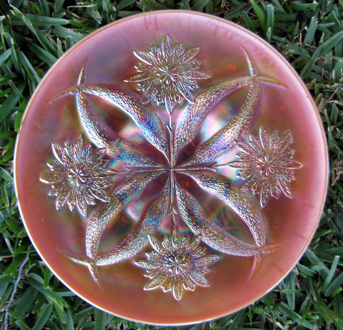Dugan's Four Flowers Peach Opalescent Carnival Glass Plate Smooth Back CA 1915